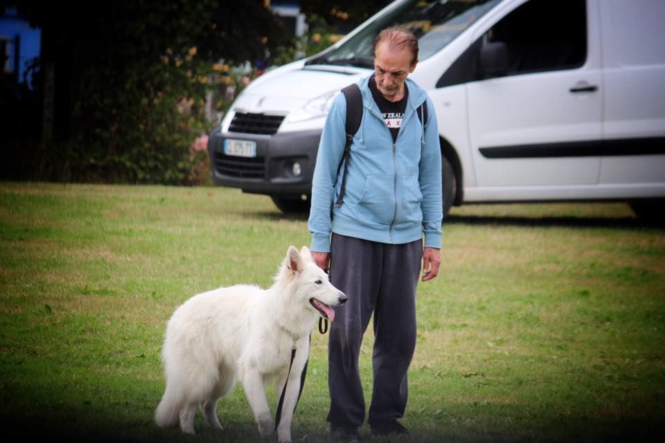 De La Griffe Des Loups D'argent - Passage Tests de Caractère Berger Blanc Suisse